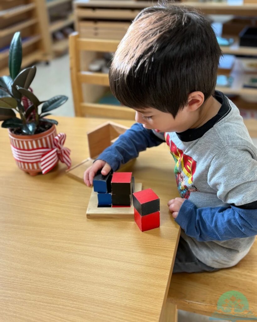 590422892_18522103018067538_1780838522152254279_n